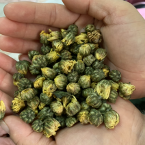 江苏杭白菊胎菊胎米菊花茶