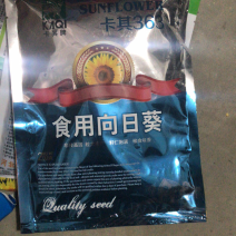 高产抗病食葵种子毛嗑向日葵种子