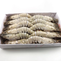 带头草虾