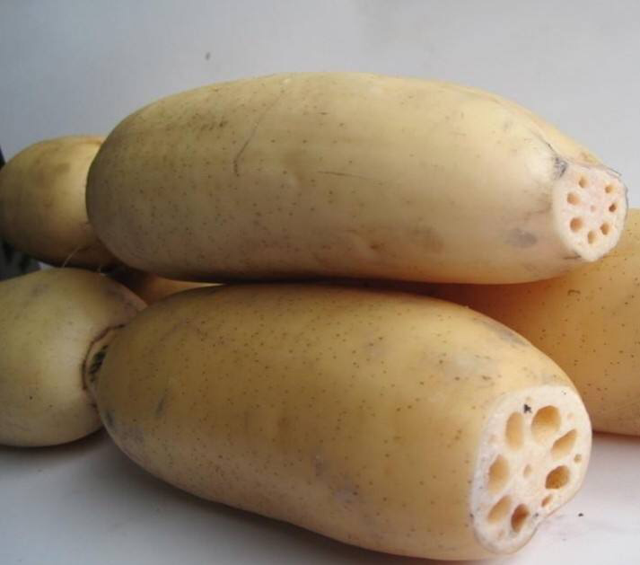 展示新鲜白莲藕的洁白切面与完整孔洞结构,质地细腻,色泽自然 白莲藕特写