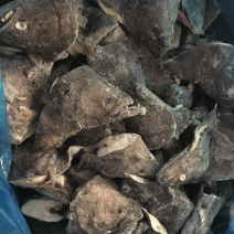 格林兰鲽鱼头