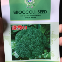 西兰花种子〈绿秀60〉