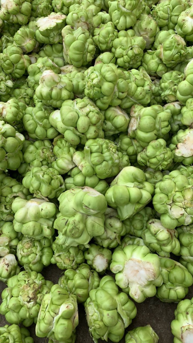 新鲜榨菜,4两以上,无空心