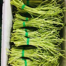 藜蒿芦蒿泥蒿泥耗菜去叶去老根新鲜蔬菜大量供应批发一件代发