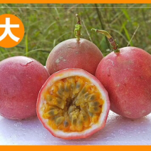 11百香果♡广西百香果♡贺州百香果♡水果♡万亩基地值得信赖
