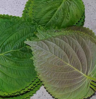 [苏子叶批发]苏子叶价格15.00元/斤 - 一亩田