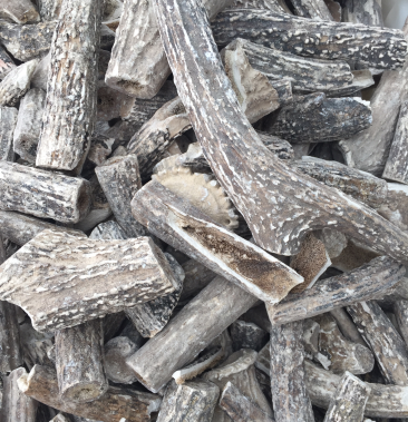 鹿角霜中药材鹿角霜纯段无碎粒