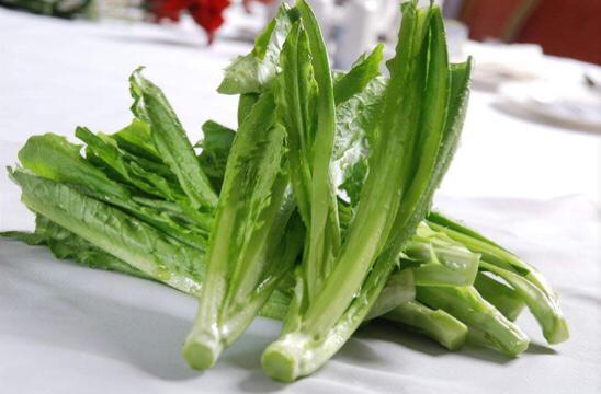 兔子正在啃食切碎的油菜叶