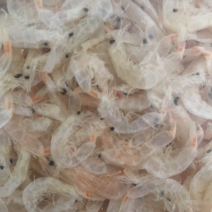 淡干特大特级虾皮