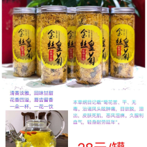 金丝黄菊