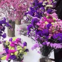 勿忘我，满天星，情人草