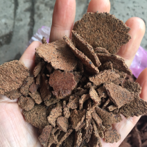 茶籽饼加工利用