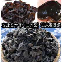 东北黑木耳地摊电商批发木耳干干木耳