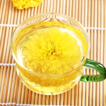 金丝皇菊
