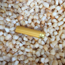 新货干贝干货250g-500g瑶柱干特级野生扇贝渔民自晒