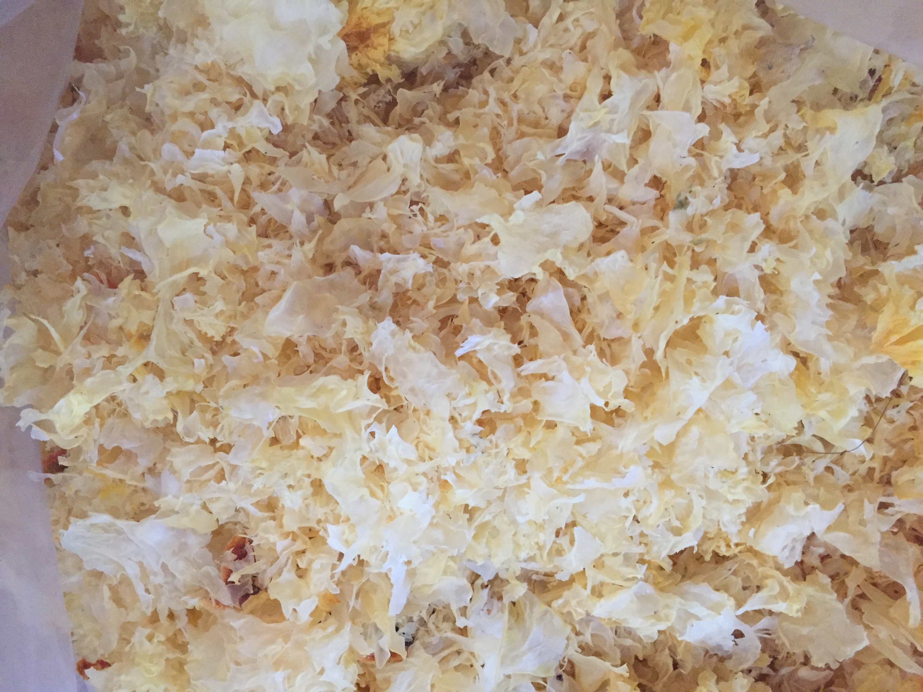 银耳多糖分子结构示意图