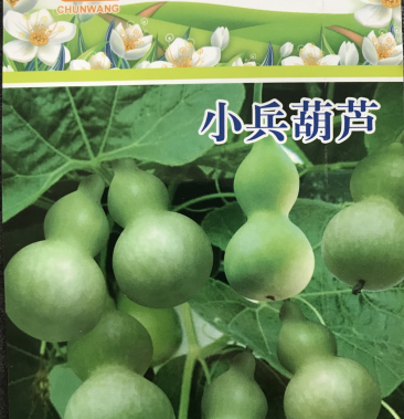 春旺农业 瓢葫芦种子 小兵葫芦