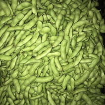 大毛豆，小毛豆诚信代办代发量大从优需要的联系