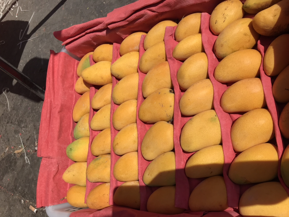 小台芒果实特写