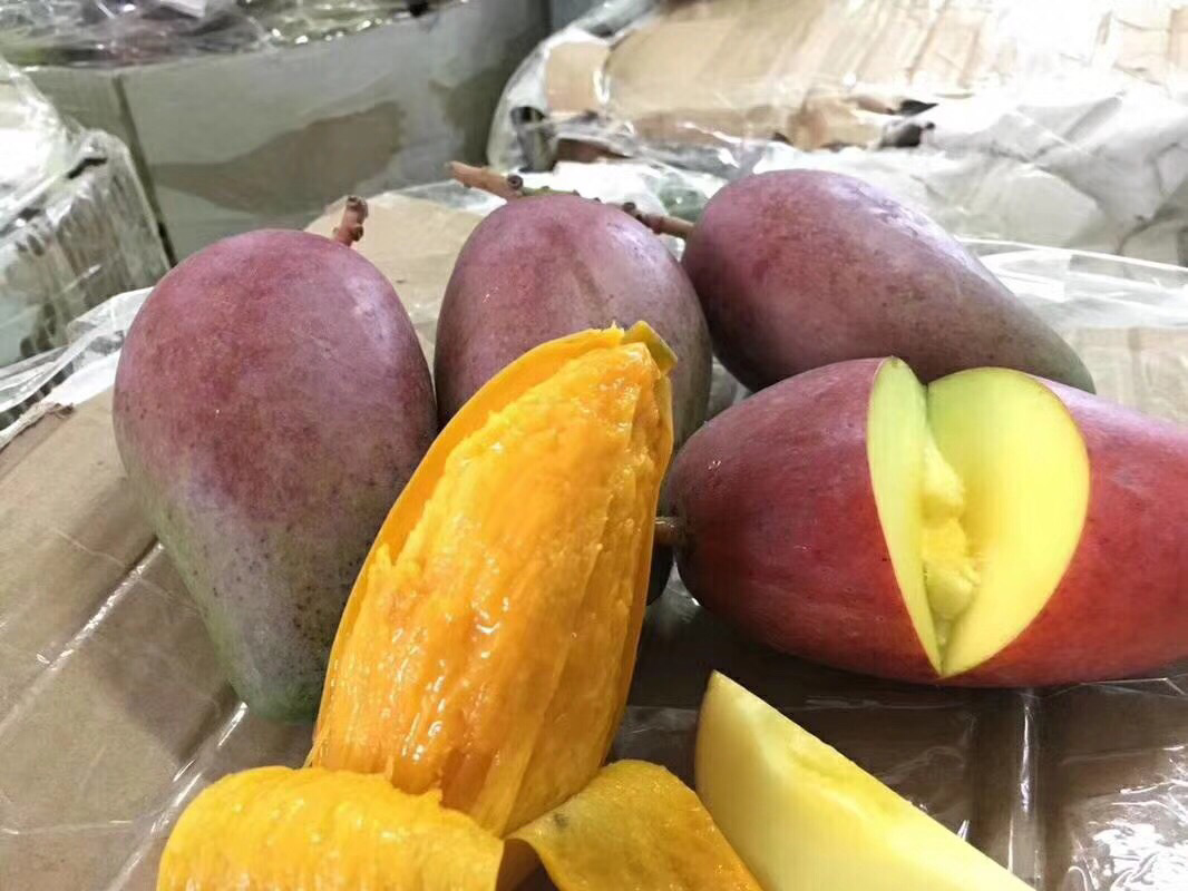 贵妃芒果肉切开图