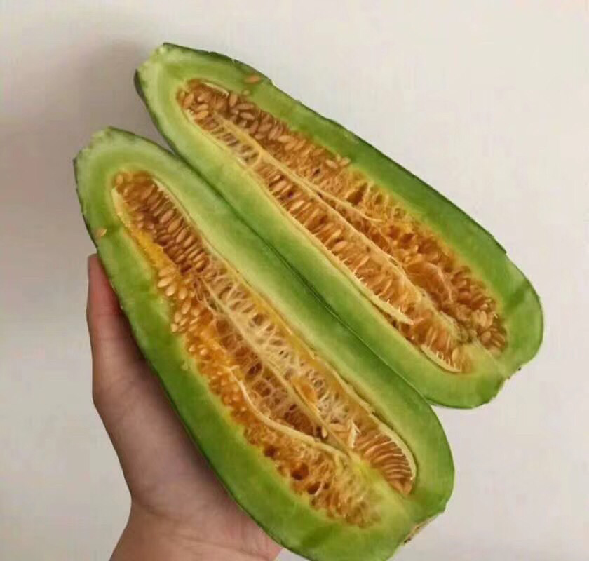 羊角蜜甜瓜切开后露出洁白果肉,质地细腻,水分充足 羊角蜜甜瓜切开果肉展示