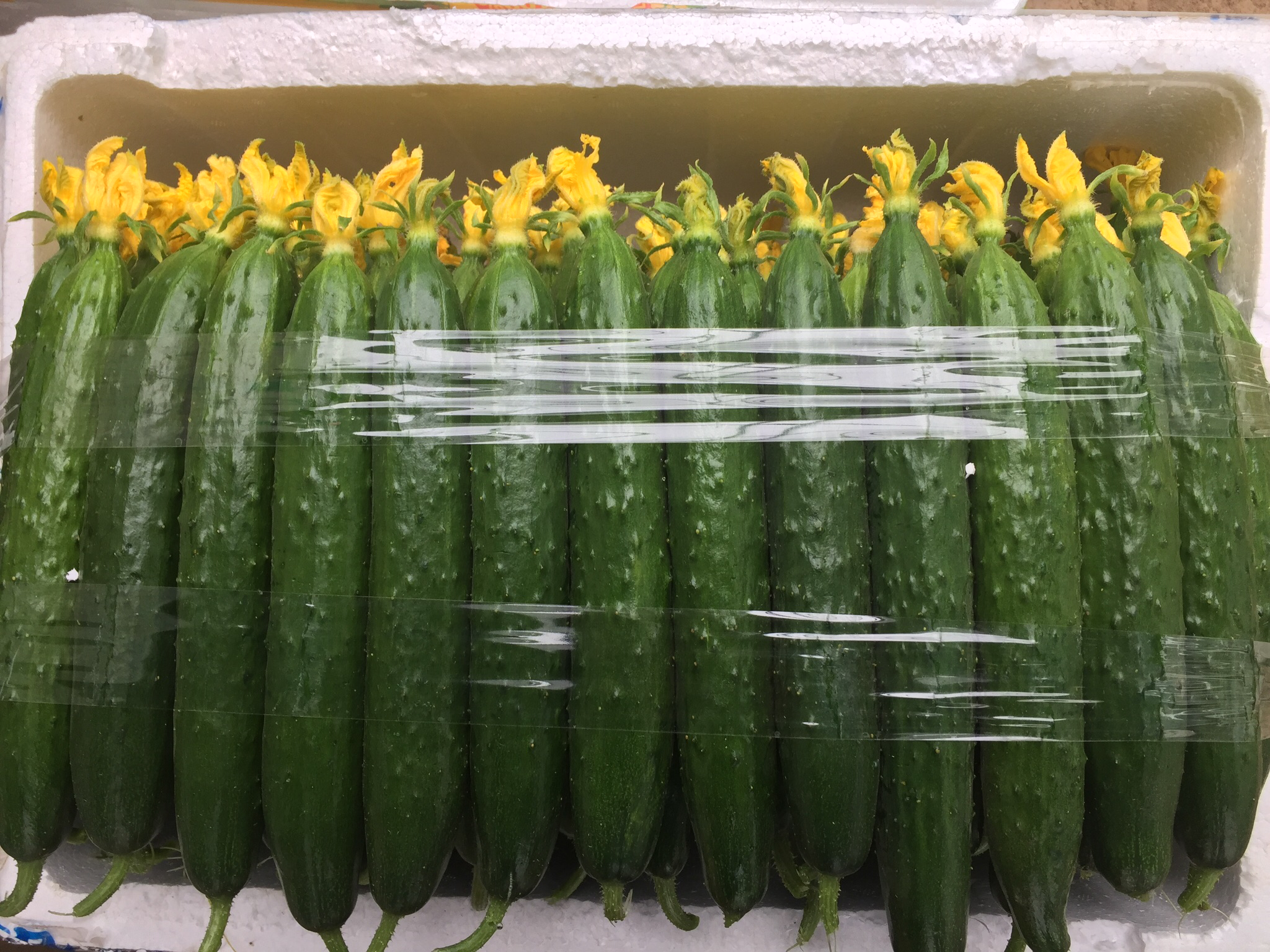 顶花小黄瓜在超市货架上的陈列效果