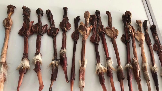 展示不同品牌和包装的鹿鞭糖产品 鹿鞭糖产品展示图