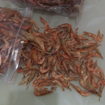 干虾