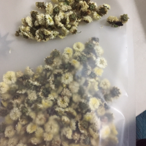 杭白菊一袋2两