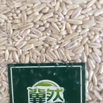 精致燕麦胚芽米真空包装