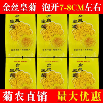 菊农基地直销袋装金丝皇菊，100袋起批