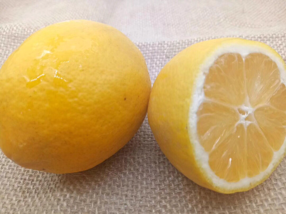 安岳柠檬果品对比图