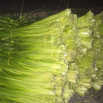 什邡优质蒜苔即将大量上市