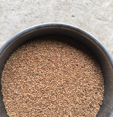 [芝麻批发]黄芝麻,黄芝麻,黄芝麻芝麻,通货黄芝麻黄芝麻价格7.