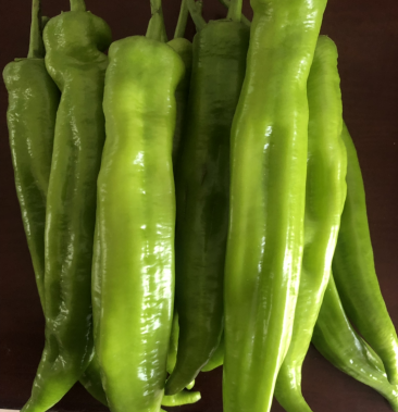 黄皮尖椒,微辣,20公分起.