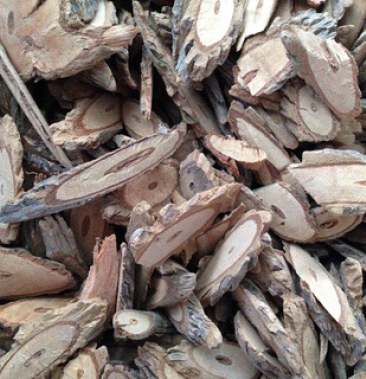 大茶藤 大茶根 大茶药 批发零售各种中药材