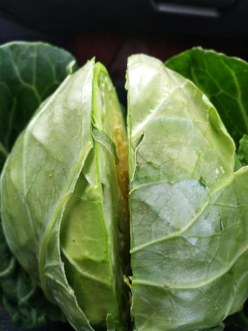 福建福州地区优质流星包