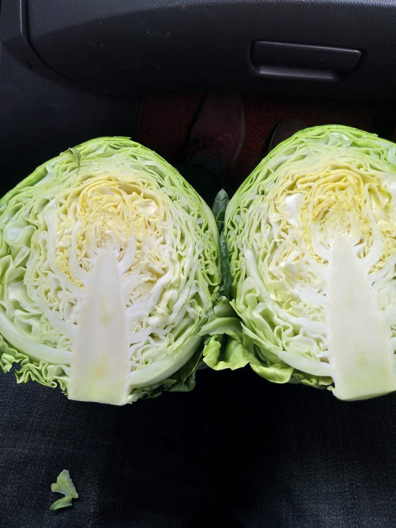 福建福州地区优质流星包