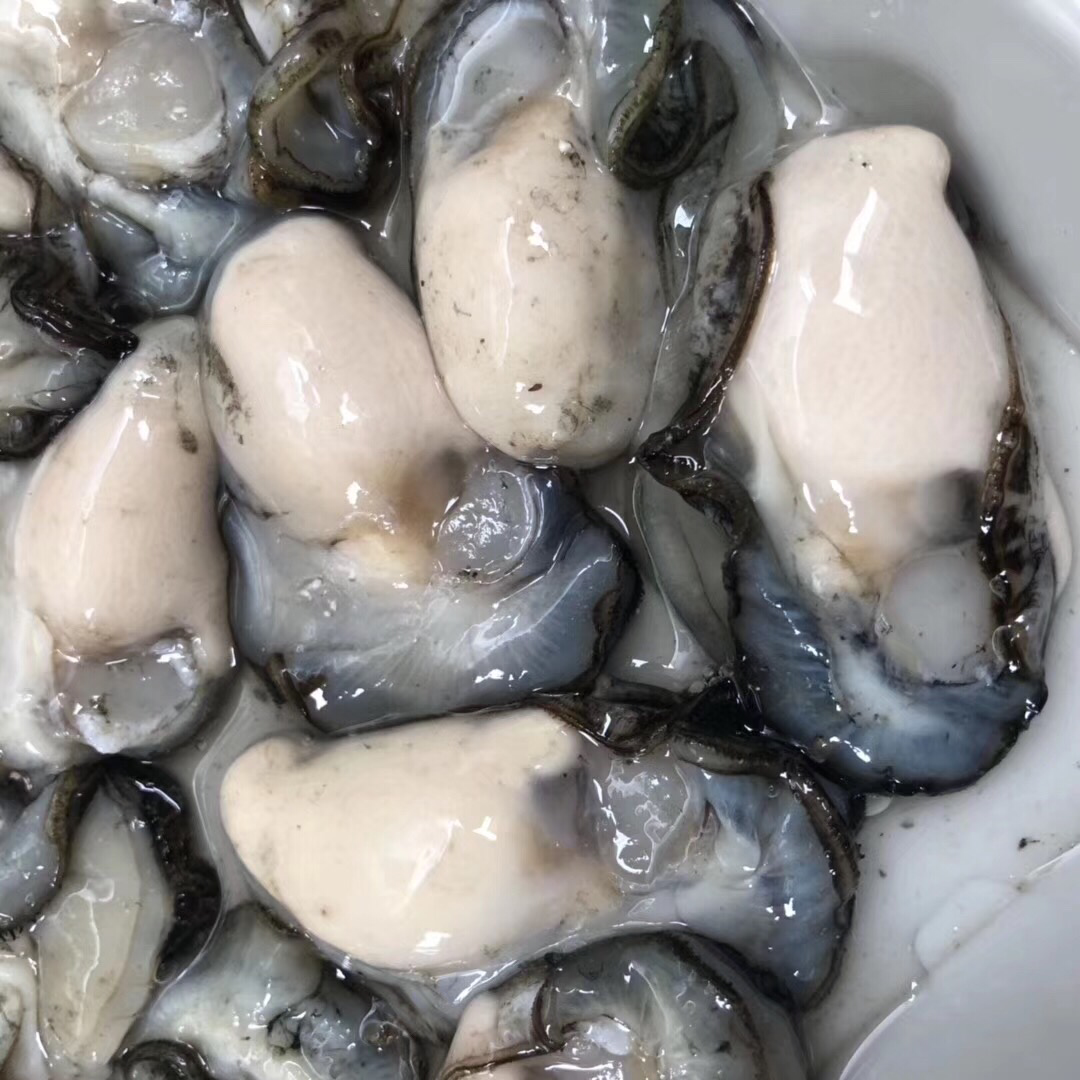 牡蛎肉,生蚝肉大量批发一件起批