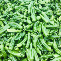 青椒—二荆条