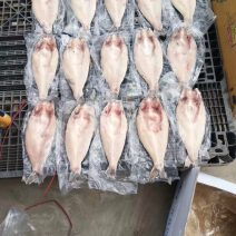 巴沙鱼，