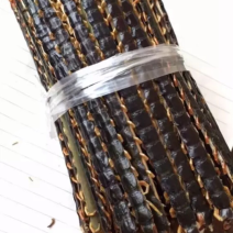 野生蜈蚣
