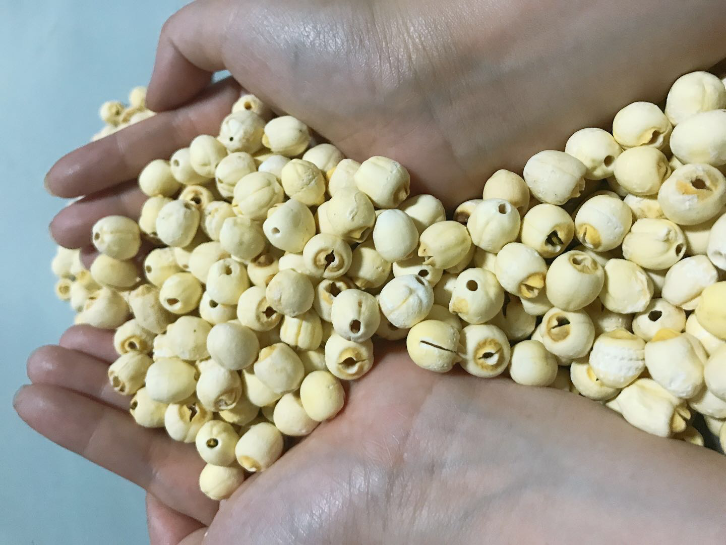 新鲜莲子与红枣、百合搭配的养生食材组合