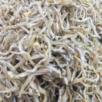 小鱼干沙丁鱼