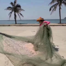 虾皮