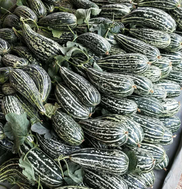 [甜瓜批发]花金刚甜瓜价格1.89元/斤 - 一亩田