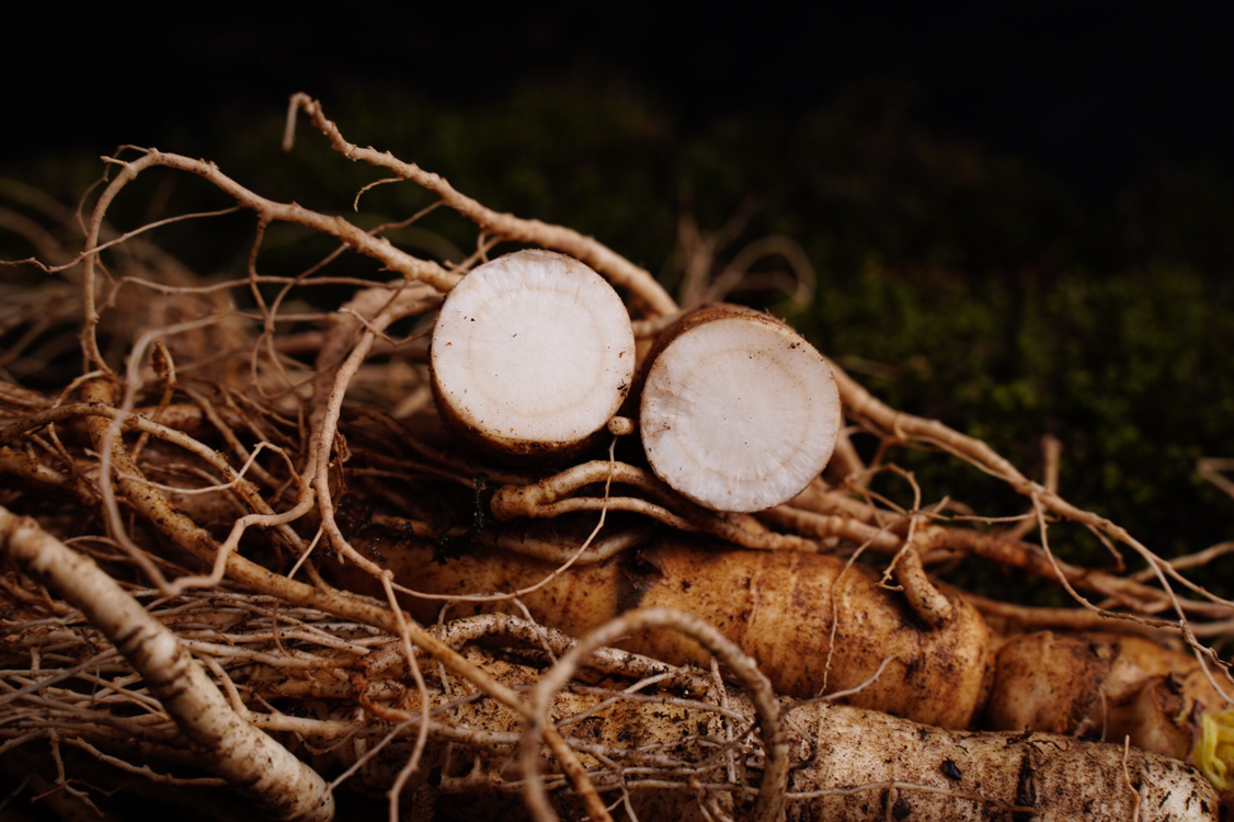 鲜人参市场挑选场景