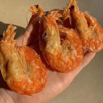 大软虾干