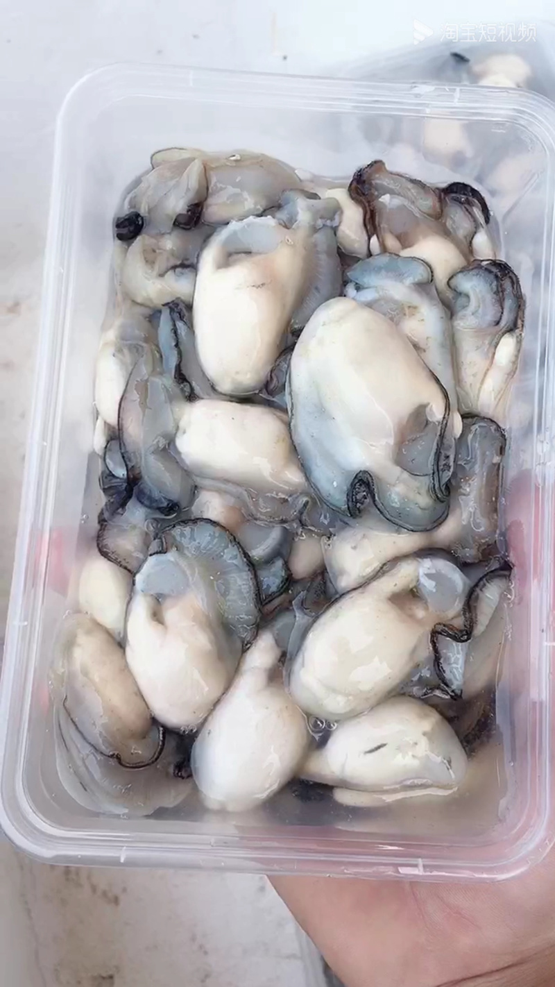 [生蚝批发]广东潮州饶平县生蚝 13.00元/斤广东潮州井洲大蚝 _ 一亩田