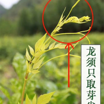 湘西霉茶、又名藤茶龙须茶250个开水冲泡茶香四溢回味甘甜